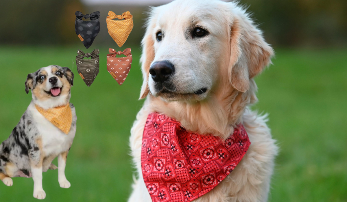 custom dog bandanas